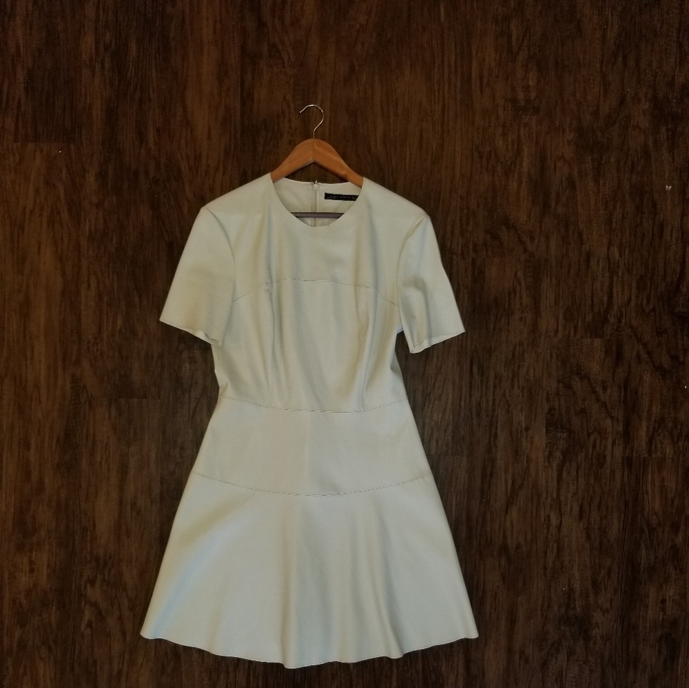 Zara Flare Dress